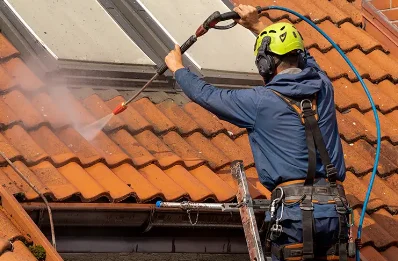 Démoussage et hydrofuge de toiture à Tresbœuf